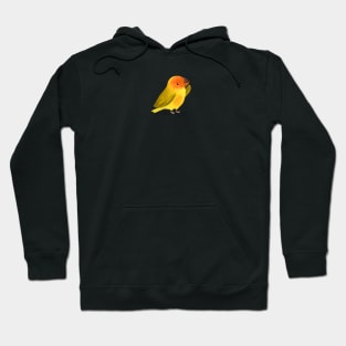 Saffron Finch Bird Hoodie